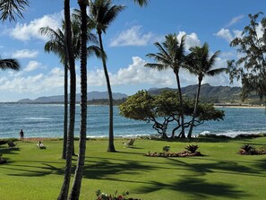 Property grounds - NEW! Beachfront 2-Bedroom Ocean View Oasis w/ Pool (Kapaʻa)