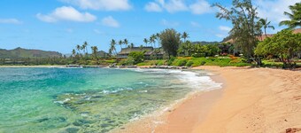 NEW! Beachfront 2-Bedroom Ocean View Oasis w/ Pool