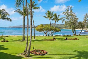 Property grounds - NEW! Beachfront 2 Bedroom Ocean View Oasis, Pool (Kapaʻa)