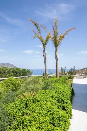 Property grounds - | Istia Luxury Villas | (Pigadia)