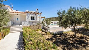 Una casa moderna con fachada blanca, tejado de tejas y una piscina pequeña. Un sendero conduce a la entrada, rodeado de vegetación y un árbol.