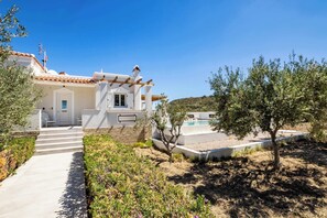 A modern house with a white exterior, a tiled roof, and a small pool. There is a pathway leading to the entrance, surrounded by greenery and a small tree. - | Zetes Luxury Villa | (Pigadia)