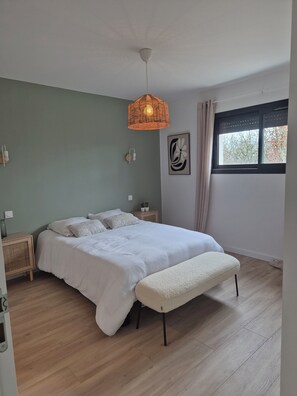 Fer et planche à repasser, Wi-Fi