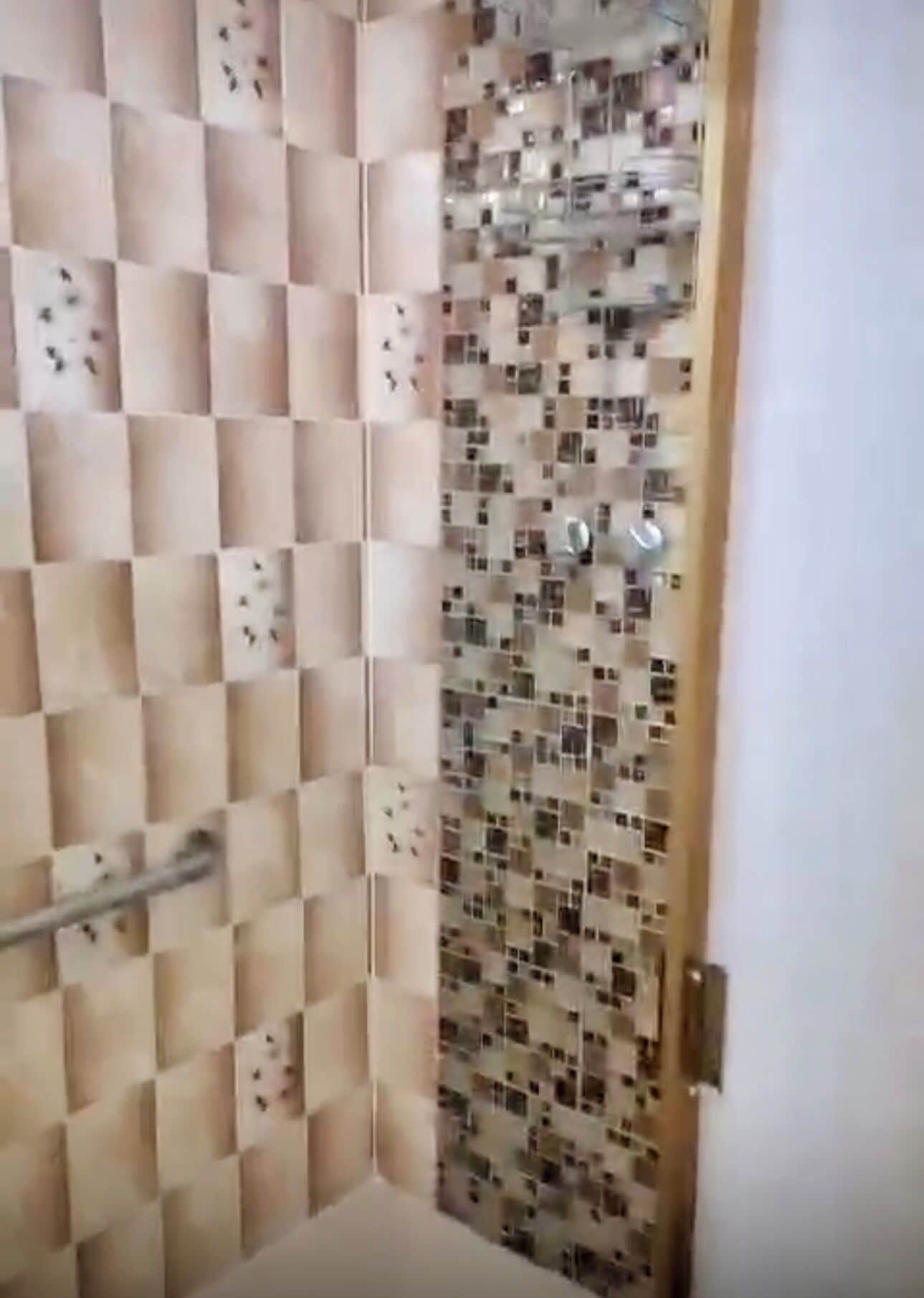 Shower, towels, soap, toilet paper