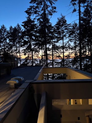 A modern building with a flat roof, surrounded by tall trees and a view of the sunset.