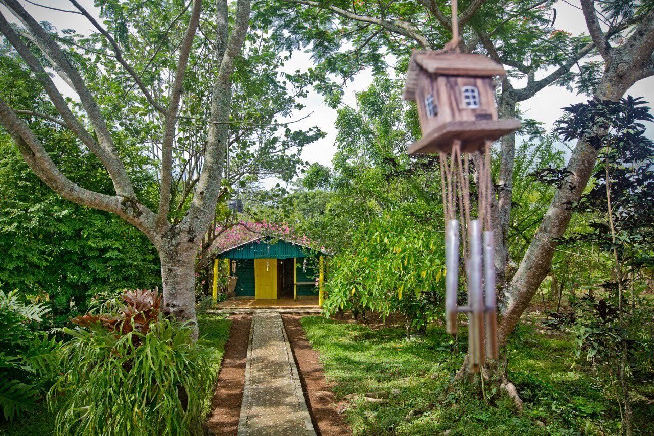 A pathway leading to a small, green-roofed structure surrounded by lush greenery.