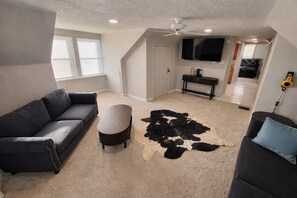 TV - Charming 1-bedroom top unit house in Central Dog Town (St. Louis)