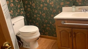 Shower, towels, toilet paper