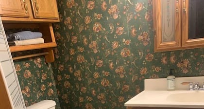 Cozy 2-bedroom house in perfect Houlton with heat and a/c in town