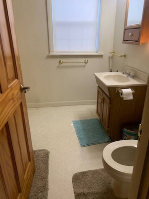 Shower, towels, toilet paper