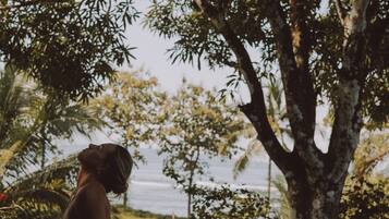 Luksuskattohuoneisto, näköala uima-altaalle | Ulkoalueet