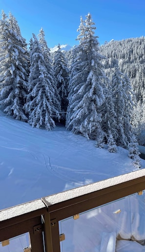 Property grounds - Cozy Penthouse with View & Parking (Courchevel)