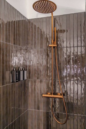 Ducha, secador de pelo, toallas y champú