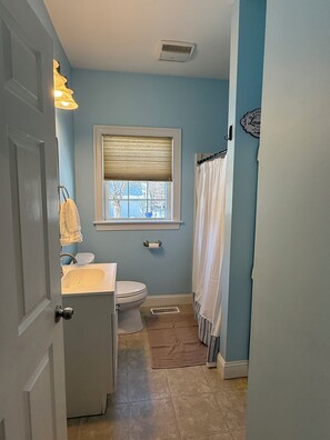 Shower, hair dryer, towels, soap - Cozy 1-bedroom house in adorable East Granby (East Granby)