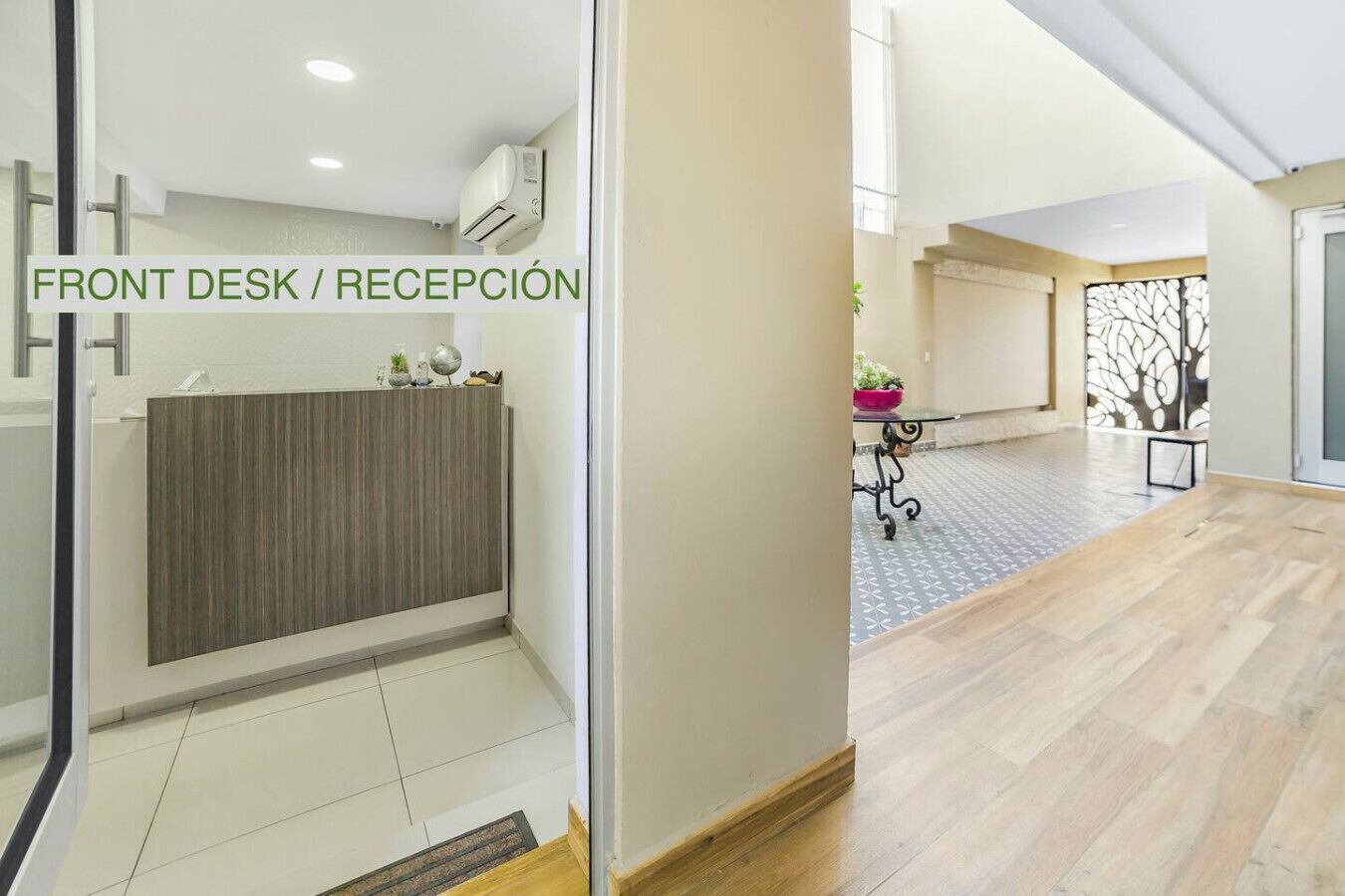 A reception area with a front desk, a potted plant, and a decorative wall.