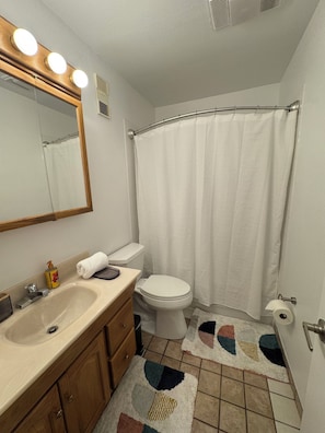 Hair dryer, towels, soap, toilet paper - Serene 2-bedroom condo in Eagle-Vail, perfect for a fun getaway (Avon)