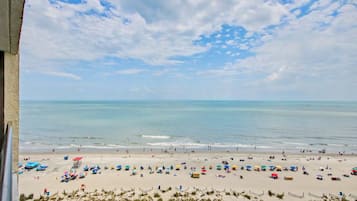 Lägenhet - flera sängar - havsutsikt (Oceanfront 1 Bedroom Suite w/Sleeper ) | Strand | På stranden