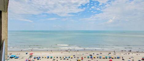 Apartamento, varias camas, vistas al mar (Oceanfront 1 Bedroom Suite w/Sleeper ) | Playa | Ubicación a pie de playa