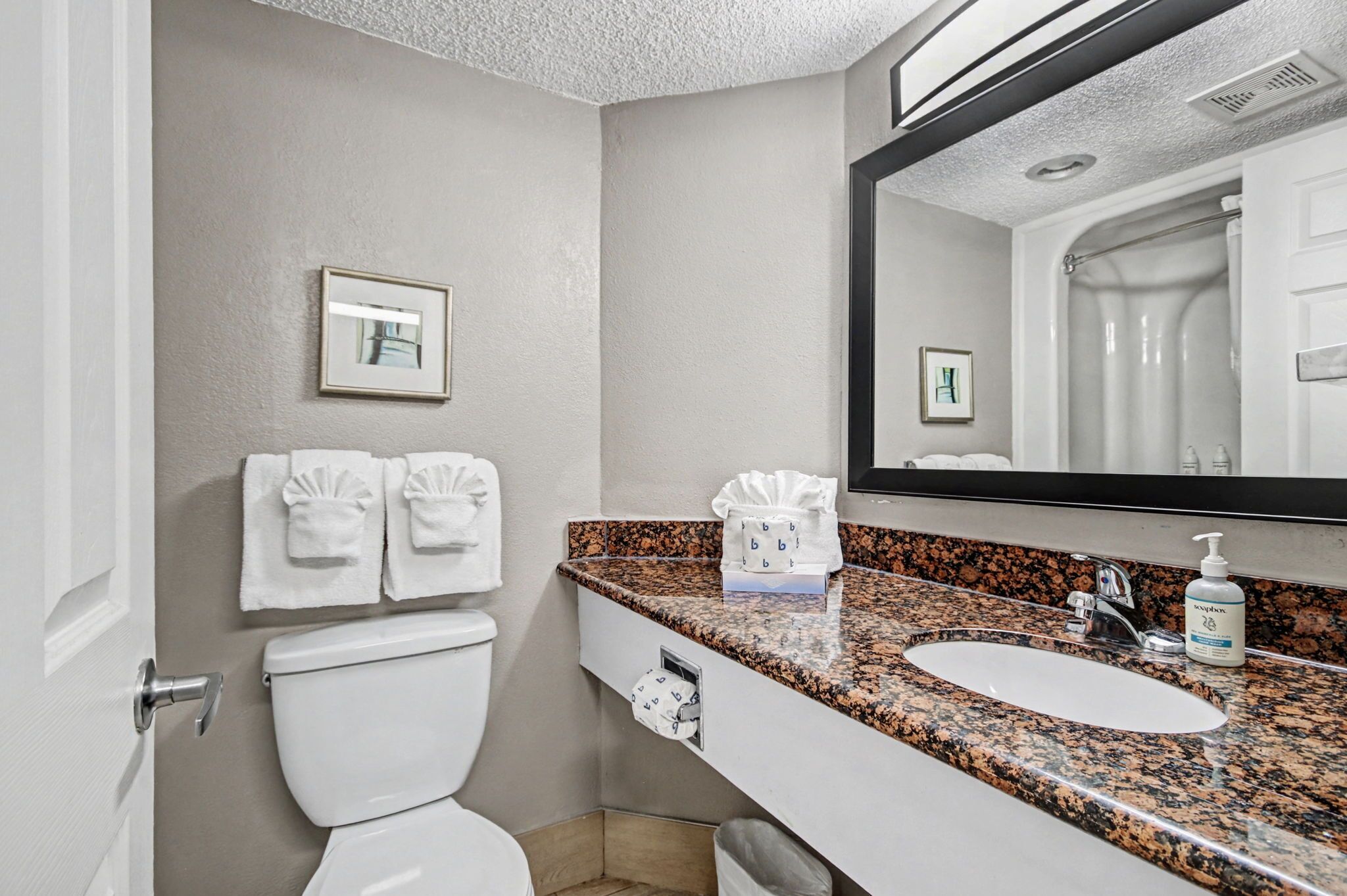 A bathroom with a white toilet, a sink with a granite countertop, a mirror, and two framed pictures on the wall.