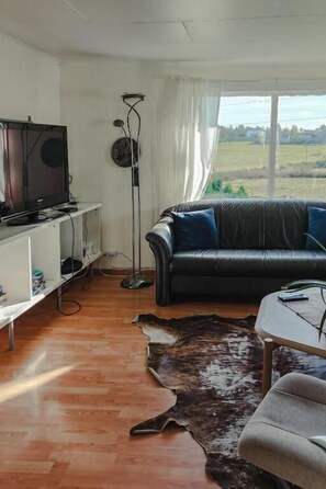 Flat-screen TV - DET HUSET PÅ LANDET (Faerder)