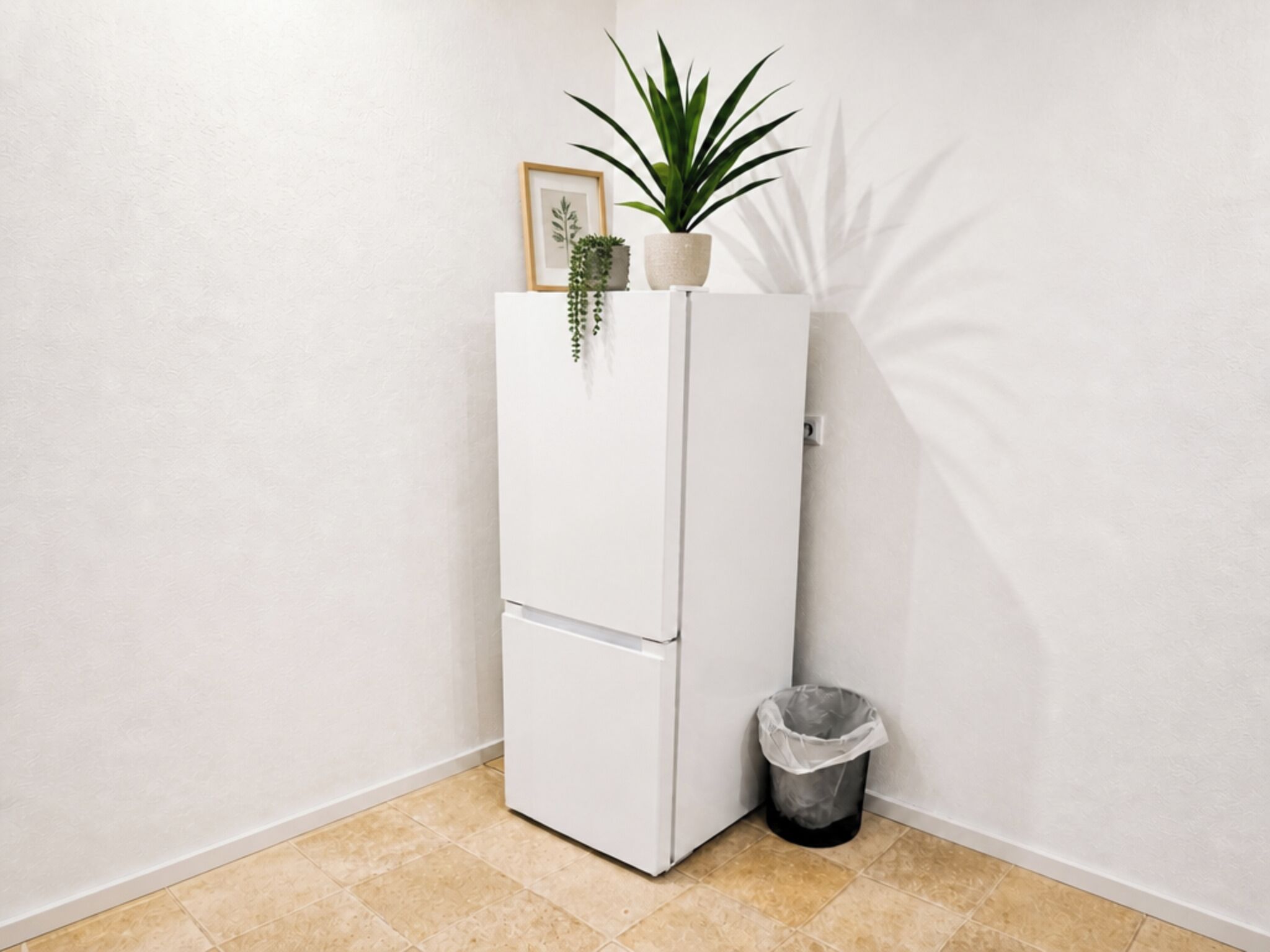 A white refrigerator with a plant on top, a trash bin, and a framed picture on the wall.