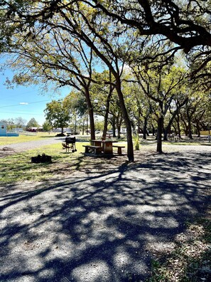 Miscellaneous - Camp Cold Springs (Rio Frio)