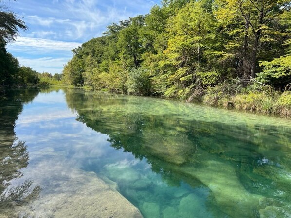 A clear river surrounded by dense forest.