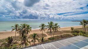 Vista de la playa con palmeras, cielo despejado y un horizonte urbano distante.
