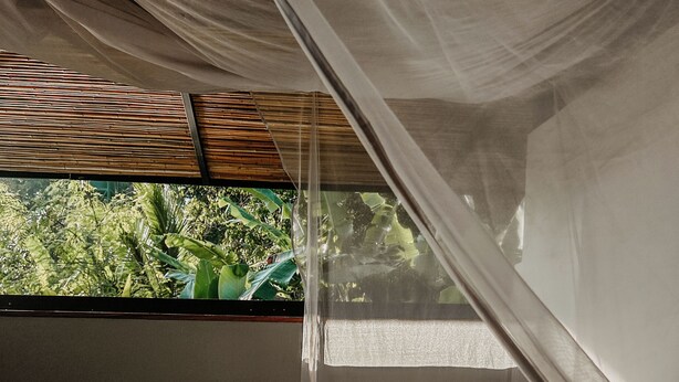 Un letto a baldacchino, una finestra con vista sul verde e una struttura del soffitto in legno.