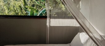 Casa Jocote: Rainforest Dream House in Cabo Matapalo