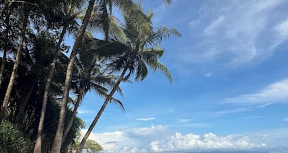 Casa Jocote: Rainforest Dream House in Cabo Matapalo