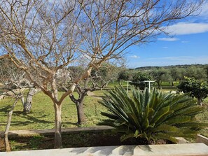 Property grounds - The Trullino of Vallegna (Ostuni)