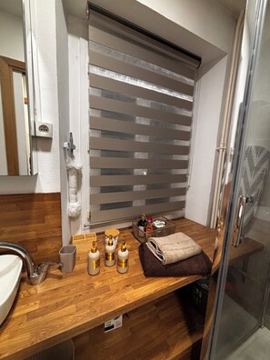 Shower, towels, soap, toilet paper - Cosy cocoon ideal border Geneva (Étrembières)
