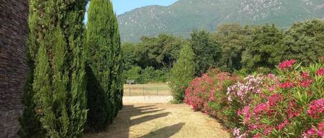 Terrain de l’hébergement