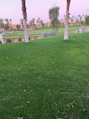 Property grounds - Coachella Week- Marriott’s Desert Springs II-One Bedroom Guest on golf course (Palm Desert)