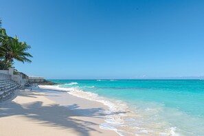 Ein Strand mit klarem türkisblauem Wasser, einem Sandufer und einer Palme.