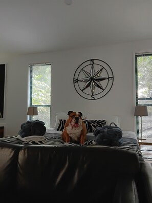 1 habitación, tabla de planchar con plancha, internet y ropa de cama 