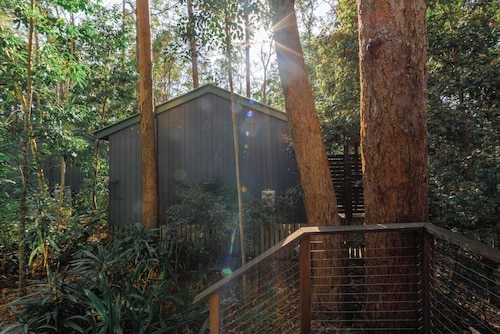 Pet Friendly Rainforest Cabins located 10 minutes from beachfront !