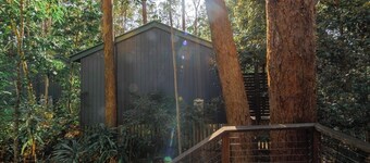 Pet Friendly Rainforest Cabins located 10 minutes from beachfront !