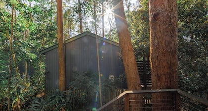 Pet Friendly Rainforest Cabins located 10 minutes from beachfront !