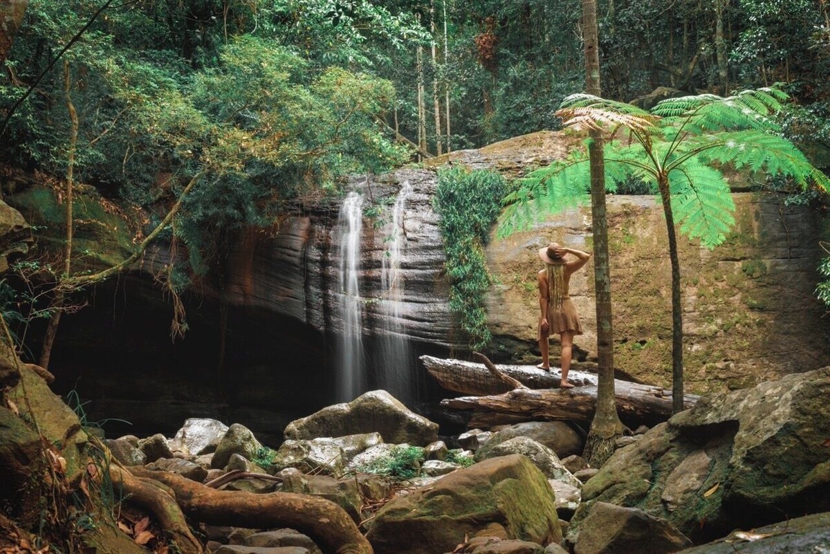 Pet Friendly Rainforest Cabins located 10 minutes from beachfront !