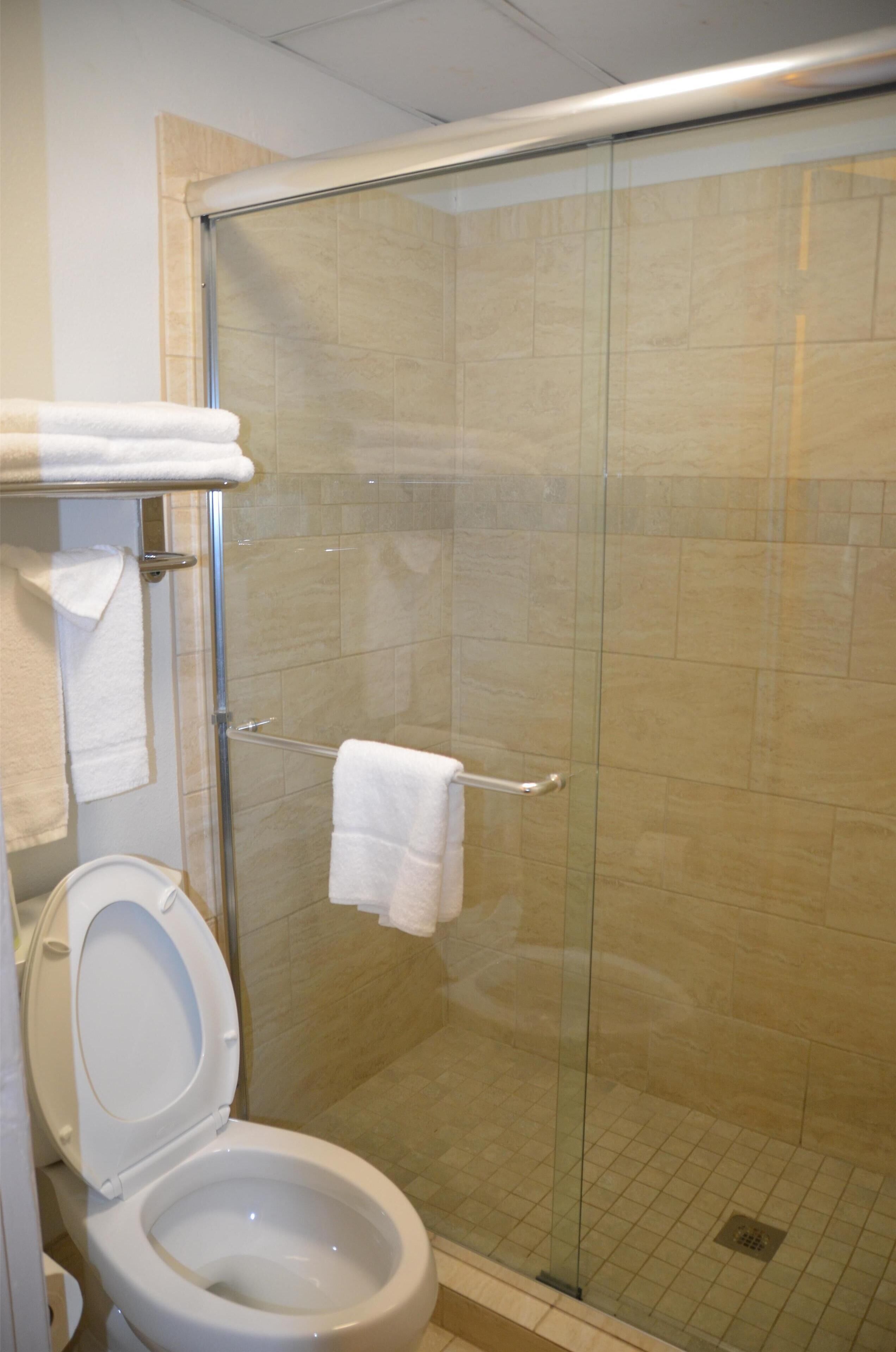 Combined shower/tub, free toiletries, hair dryer, towels
