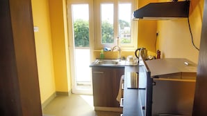 Una cocina compacta con un lavamanos, un hervidor y una estufa.