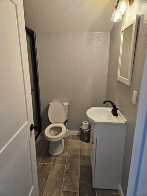 Shower, hair dryer, towels, soap - River Views from Bed  bungalow in serene Greenville (Greenville)