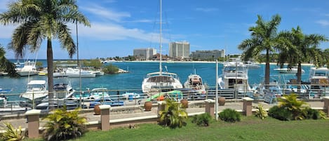 Marina
