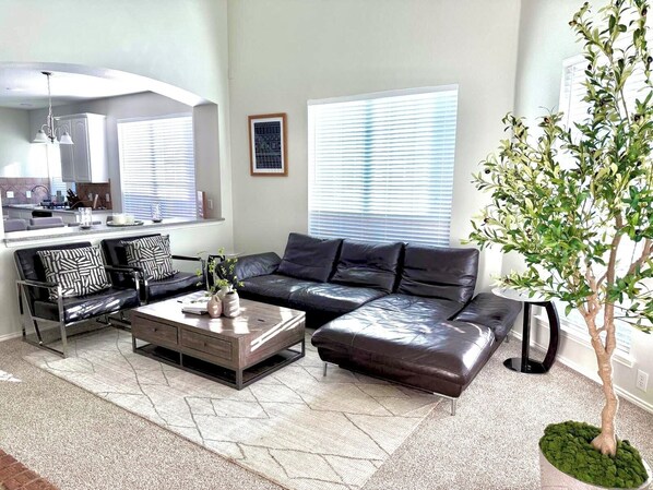 A modern living room with a leather sofa, a coffee table, and a potted plant.
