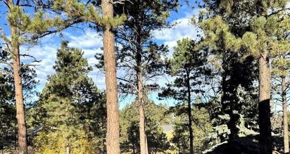 Wildlife Estates. Spacious 4-BR, Dog Friendly, Bonus-Game Rm, HotTub, Garage