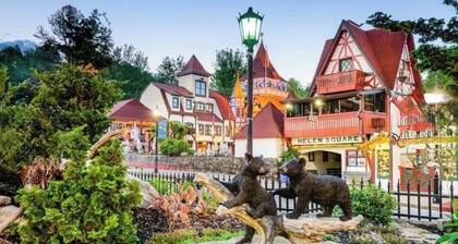 Chattahoochee Bungalow downtown helen