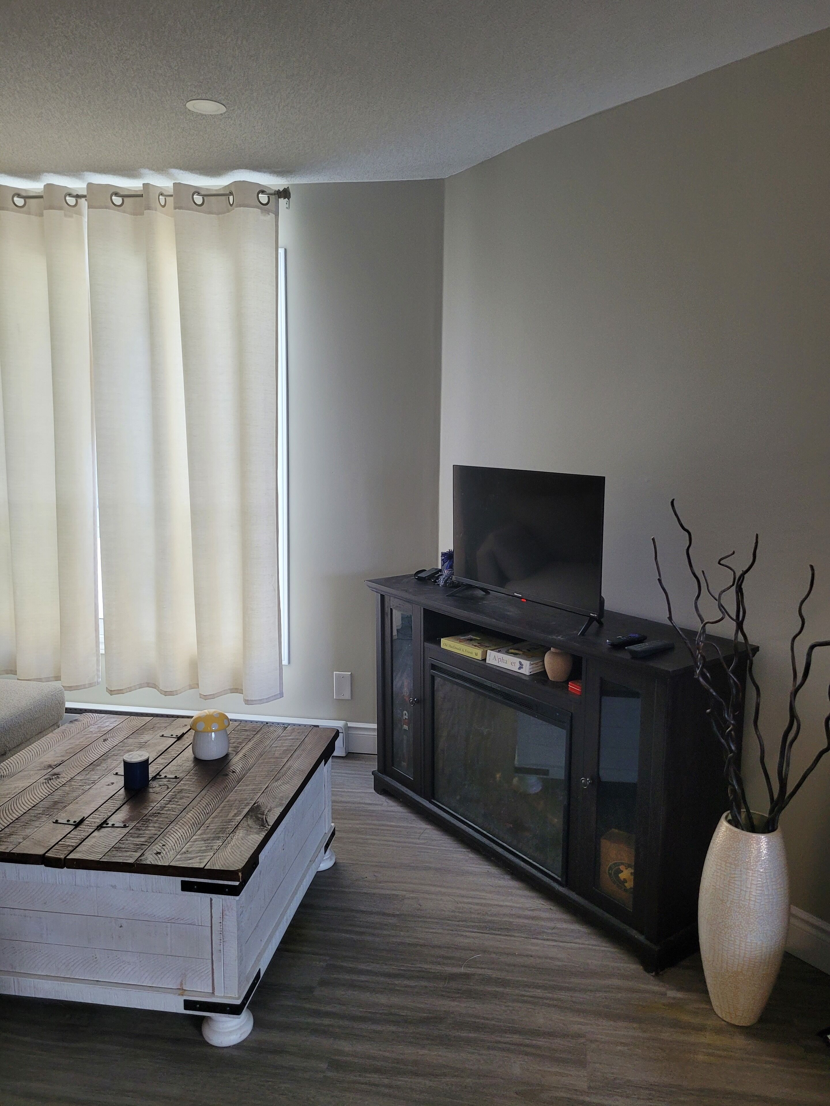 TV, fireplace, foosball