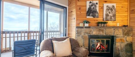 TV, fireplace, DVD player